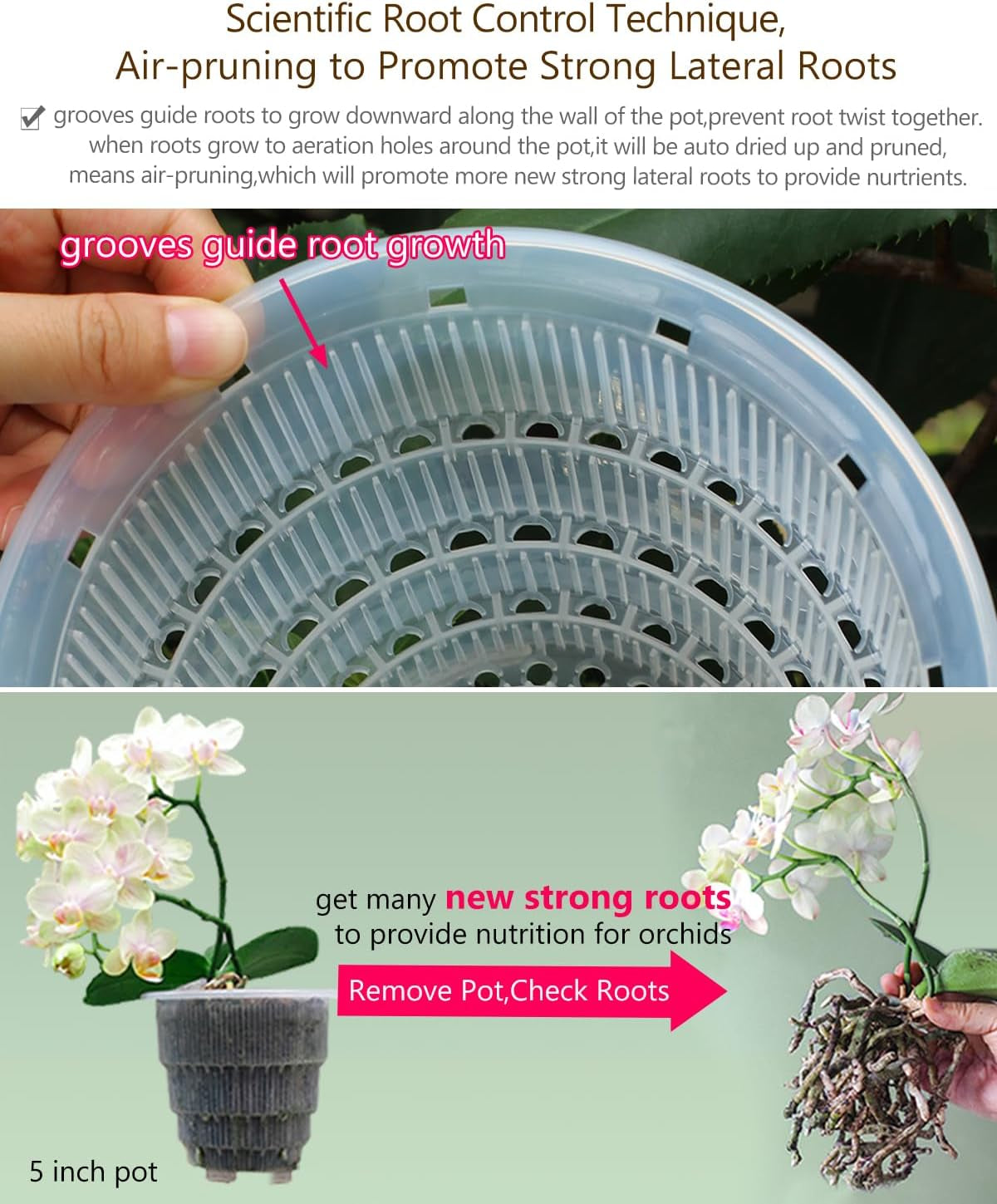 Orchideebloempot met drainagegaten voor verplanten, uitstekende luchtcirculatie, 2 stuks, dubbellaags plastic, keramische orchideeënplanter, transparante orchideebloempot, decoratief