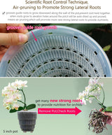 Orchideebloempot met drainagegaten voor verplanten, uitstekende luchtcirculatie, 2 stuks, dubbellaags plastic, keramische orchideeënplanter, transparante orchideebloempot, decoratief