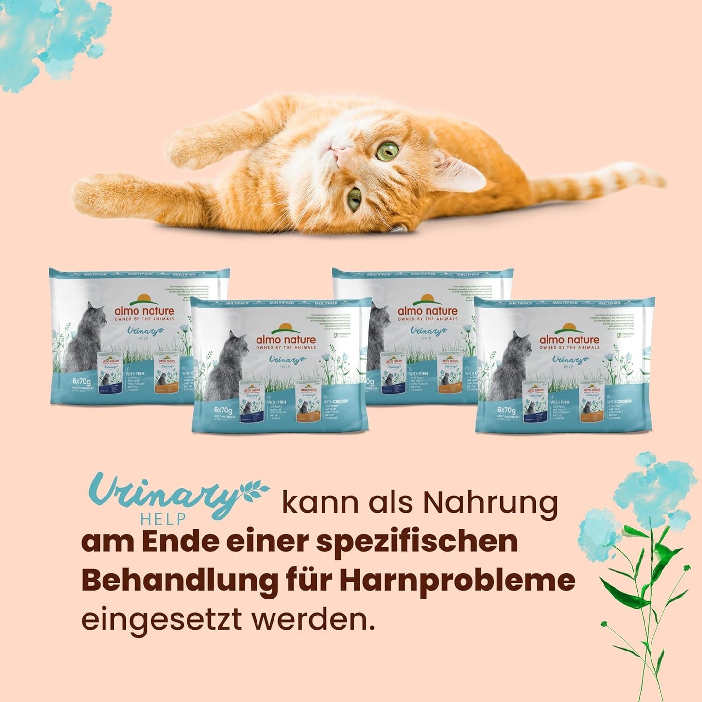 Almo Nature Functionele Urinaire Hulp - Nassfutter für ausgewachsene Katzen mit Fisch - Unterstützung für die Gesundheit der Harnwege - 30 Zakjes à 70g