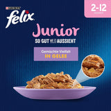Felix As Good As It Looks Junior Natvoer in gelei voor kittens, gemengde mix, verpakking van 6 (6 x 12 zakjes van elk 85 g)