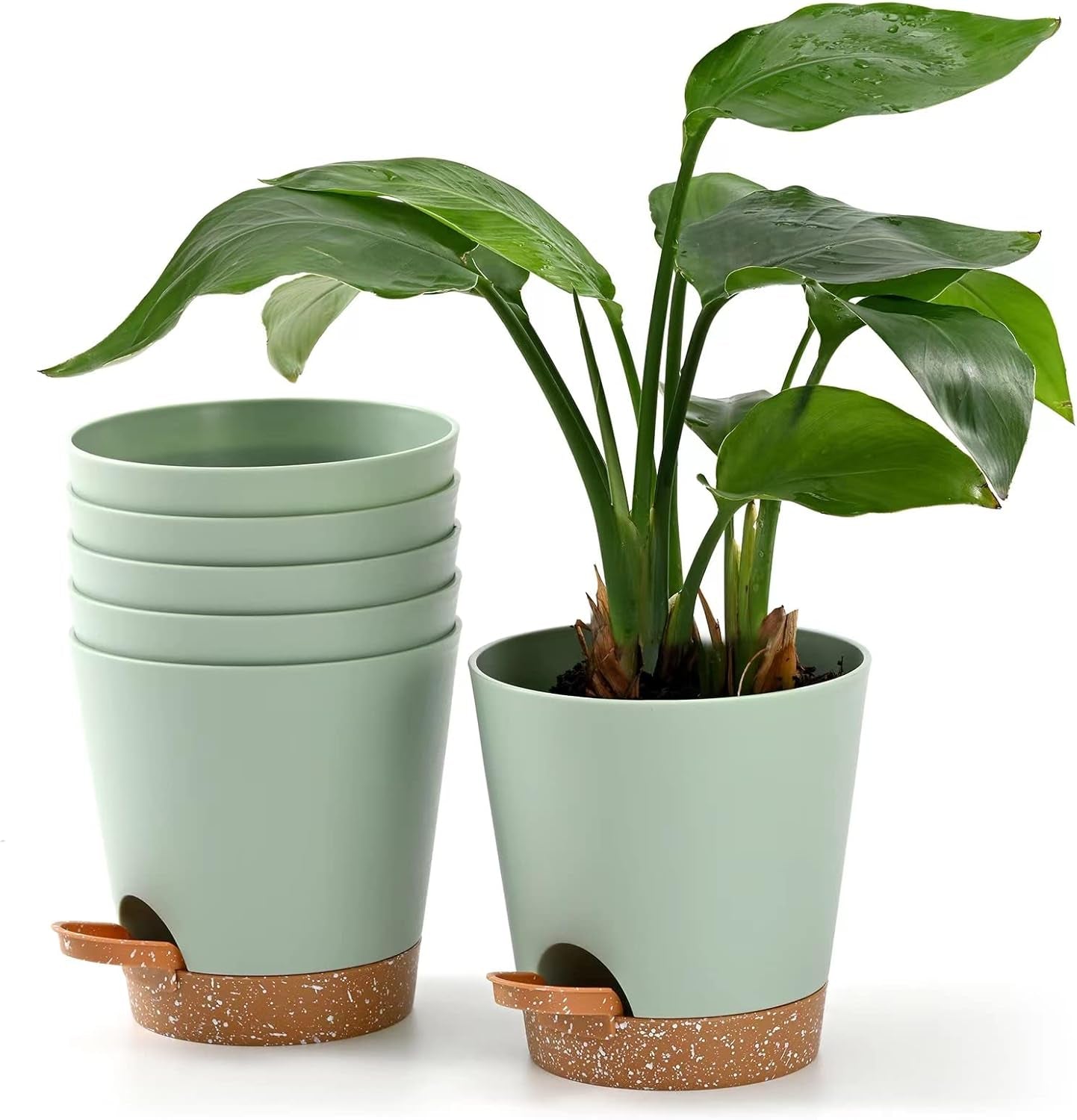 Bloempot 6 stuks 12,7 cm zelfwater gevende plantenbak hoge drainage binnen buiten bloempot met reservoirbak en gietrand tuin plantenbak tuin