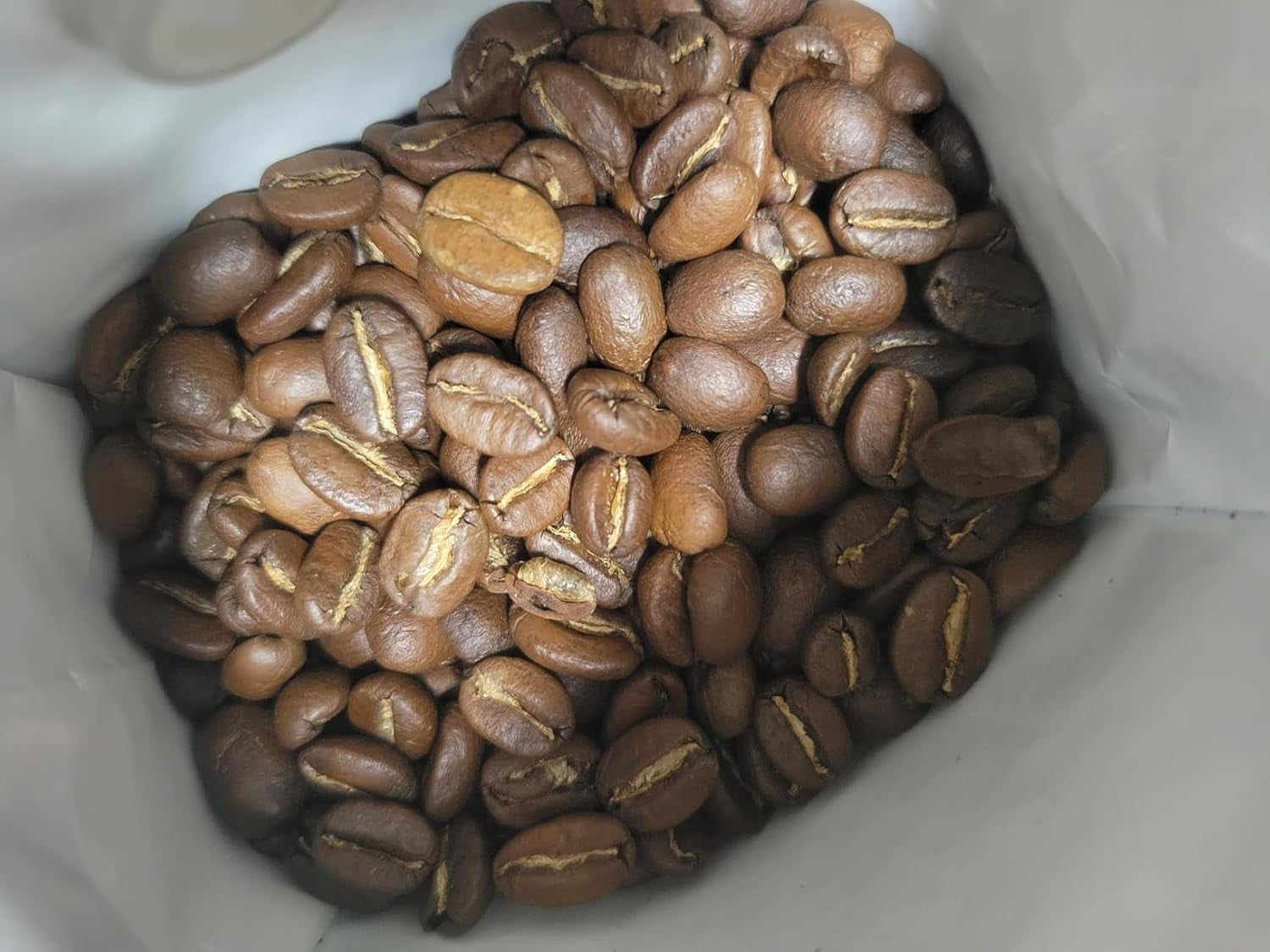 Spezialitätenkaffee Bohnen 100% Arabica Natuurlijk Mittlere Röstung Gewaschener Prozess Zitrus Schokolade Karamell Schattenanbau Sierra Nevada (250 g, Castillo)