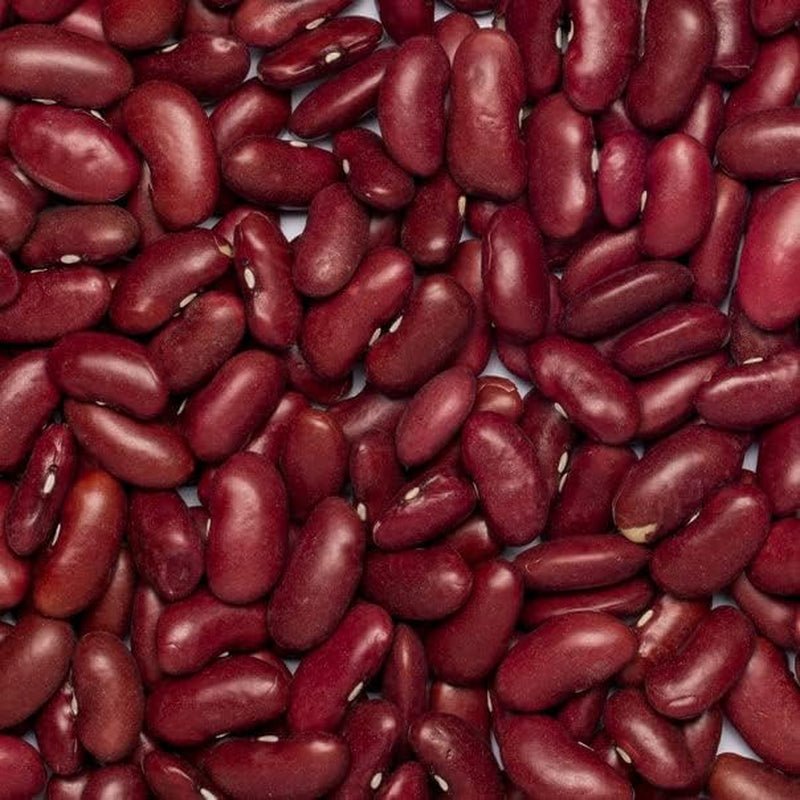 Rode bonen Wholefood Earth Biologisch 1kg Rauw | Veganistisch | Niet-GMO | Donkerrood | Rijk aan vezels | Rijk aan eiwitten | Gecertificeerd biologisch