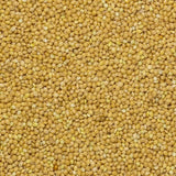 Aarde volkoren gierst - non-GMO - natuurlijk - vegan - zuivelvrij - geen toegevoegde suikers - 1 kg