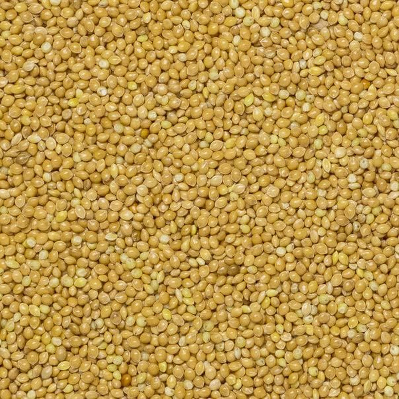 Aarde volkoren gierst - non-GMO - natuurlijk - vegan - zuivelvrij - geen toegevoegde suikers - 1 kg