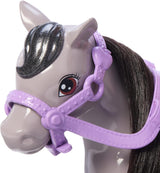 Barbie Chelsea en ponypop en pony's - Rijd tijdens het spelen om veilig op een paard te zitten, roze zadel en stokken, inclusief helm en schattige geruite jurk, vanaf 3 jaar, HTK29 Naty Shop-poppen