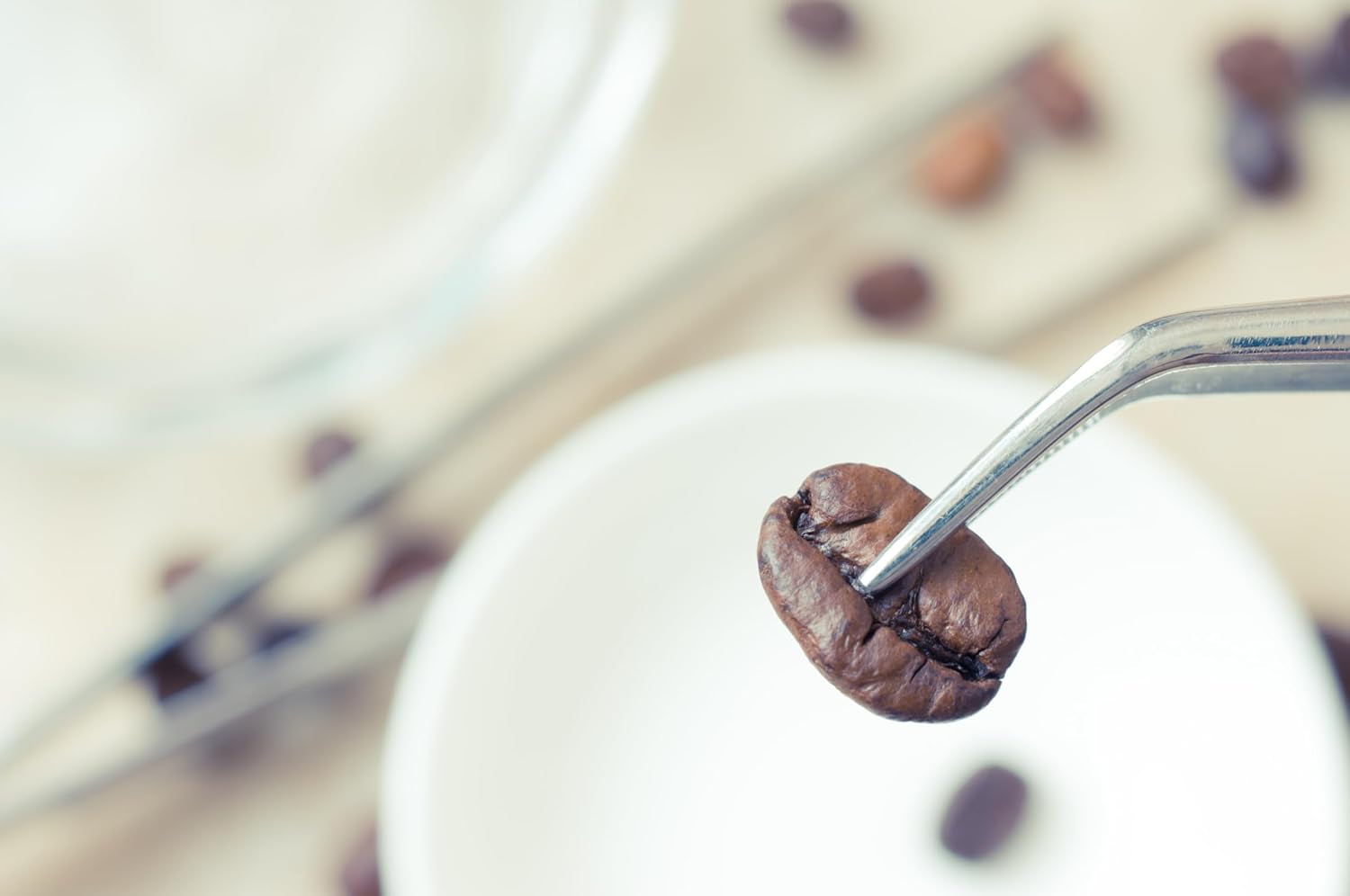 NIK CAFE' – Classico blend – gebrande koffiebonen. Zijne Excellentie, de stoere. 100% robuust
