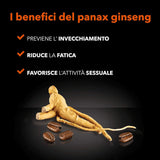 - 1 Verpackung met 500 Gr Ginseng met Brauner Canhrzucker-Löslichem Kaffeepulver zum Süßen, Ideal zum Adden zu Heißem Wasser, Glutenvrij, Laktosefrei en Gentechnikfrei