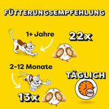 DREAMIES SHAKE UPS Multivitamine Zeevruchtenfestival Kattensnoepjes in geportioneerde zakjes - 55 g (6 zakjes)