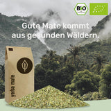 BIO Yerba Mate Thee 1 kg ● Origineel ● Rijp ● Ongebrand ● Luchtgedroogd ● Rookvrij ● Plasticvrij ● Fair Trade ● Matethee van matebladeren, matestukjes en matebladpoeder ● DE-ÖKO-006