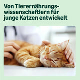 Amazon Mixed Selection Natvoer voor jonge katten in gelei 1,2 kg (12 zakjes van 100 g)