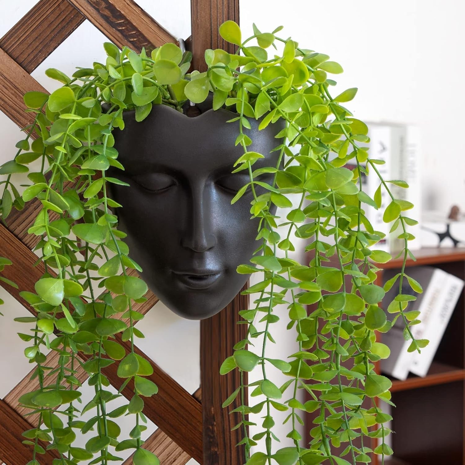Notakia gefacetteerde wandgemonteerde binnen-buiten plantenbak met afvoer voor vetplanten, cactussen en kleine planten, unieke huisdecoratie, cadeau voor vrienden en familie