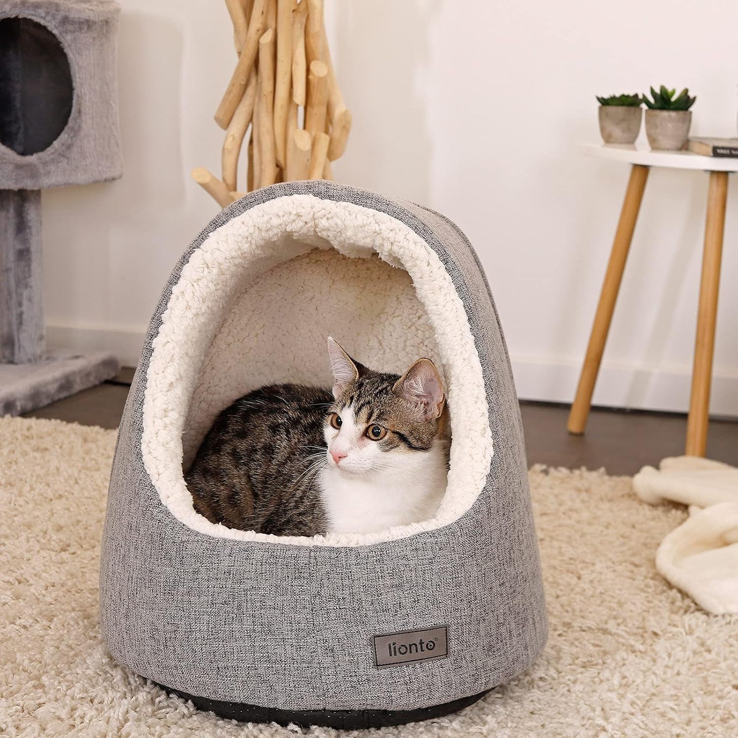Dekens en meubels, Huisdieren, Grotten & Huizen, Katten, Kattenbedden, Katten - bedden, matrassen