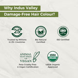 Indus Valley natuurlijke schadevrije gel haarkleuring | Ammoniakvrij, veganistisch en dierproefvrij | Tot 100% grijsdekking, langdurige resultaten | Licht kastanje 5.0 (20 gram + 200 ml) Naty Shop haarverf