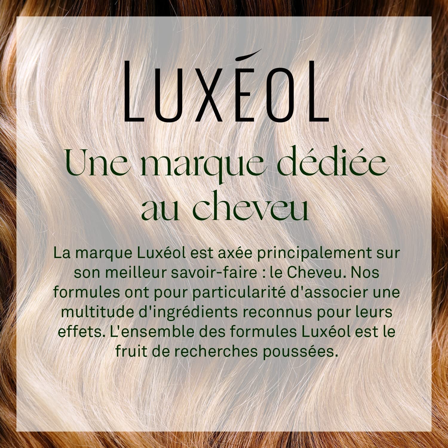 Luxeol Progressive Hair Loss 2-In-1, programma voor 1 maand - 14 flesjes van 6 ml Luxeol haarverzorging