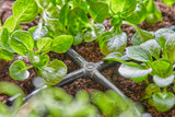 Gardena Micro-Drip-System - Kruisverbinding 4,6 mm (3/16 inch): Accessoire voor aftakverdeling en druppelleidingen, knikvrije installatie met Easy & Flexibele aansluittechniek (13214-20)