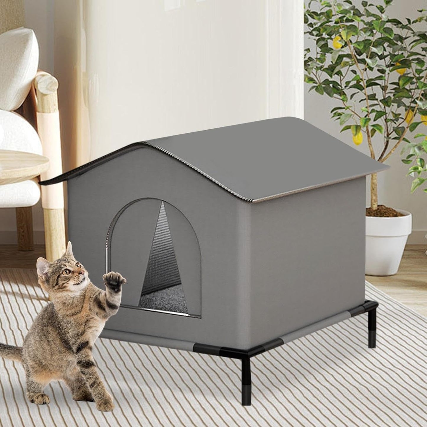 Dekens en meubels, Huisdieren, Grotten en huizen, Katten, Kattenbedden, Katten - Bedden, Matrassen