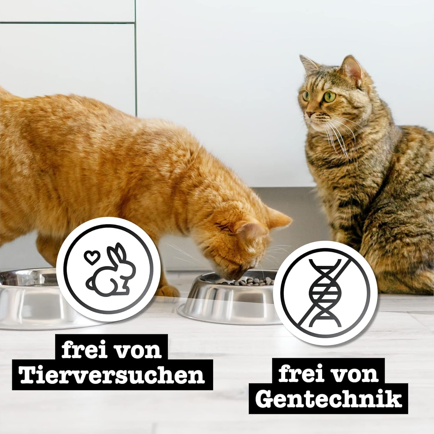 Catz Finefood Purrrr Collection I - Monoproteïne nat kattenvoer - Graanvrij, suikervrij, hypoallergeen - Hoog vleesgehalte - Multipack nat kattenvoer - in zakjes, 85 g (12 verpakkingen)