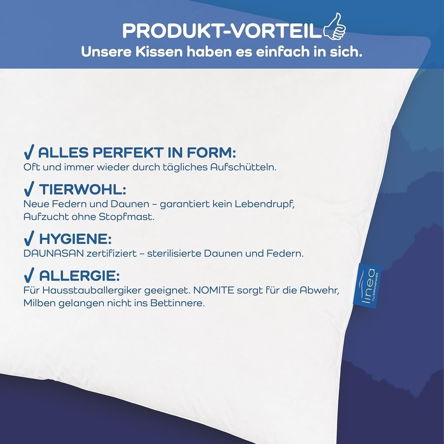 LINEA by Böhmerwald - Cosy - Hoogwaardig Balance kussen, 80X80, 70% klasse 1 veren, 30% nieuw dons, geschikt voor allergieën, wasbaar tot 60°C, made in Germany Naty Shop standaard kussens