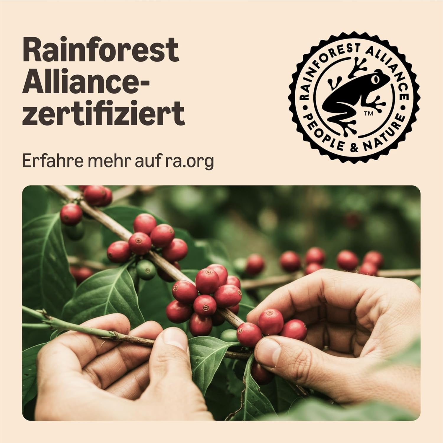 door Amazon Starke Pads, geeignet für Senseo-Maschinen, 36 Stück (1 Packung mit 36 ​​​​Stück) – Rainforest Alliance-zertifiziert