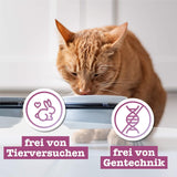 Catz Finefood Classic Collection Mixed Pack Nat Kattenvoer - Gourmet natvoer voor uw kat, graanvrij en suikervrij, met een hoog vleesgehalte, 24 zakjes x 85g