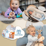 Baby Bijtring met Fopspeenketting - Tandjeshulpmiddel - Babyspeelgoed 0-6 maanden - Newborn Essentials - BPA Gratis Tandjesspeeltje - Babycadeau-ideeën