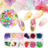 Kalolary Gedroogde Bloemen voor Nagels Vlinder Pailletten Nagellak Folie Nagelstickers Pincet Nagelstenen Nagelsteentjes Potlood voor 3D Nageldesign DIY Decoraties