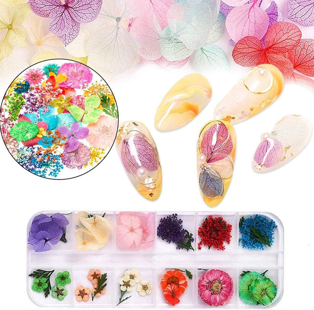 Kalolary Gedroogde Bloemen voor Nagels Vlinder Pailletten Nagellak Folie Nagelstickers Pincet Nagelstenen Nagelsteentjes Potlood voor 3D Nageldesign DIY Decoraties