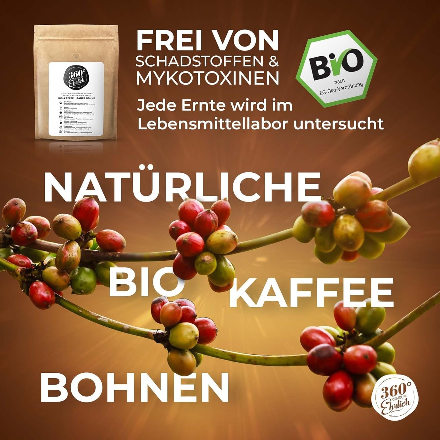 Premium Bio Kaffeebohnen 1000g, 100% Honduras Hochland Arabica Kaffeebohnen Bio - Köstlich, mild, säurearm - Bio Kaffee ganze Bohnen - Ideaal als Kaffeebohnen Vollaautomat - 360° Rundum Ehrlich