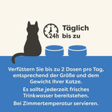 Applaws natuurlijk kattennatvoer kwallenselectie (pak van 12 x 70 g)