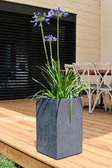 Basalt Up bloempot, vierkant, hoog, 36 l, betonlook, effen muur, watertank, 29,5 x 29,5 x 49,5 cm, antracietgrijs