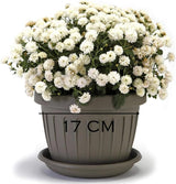 Kleine pot met bord - 17 cm pot met bord | Praktisch en lichtgewicht ontwerp | Perfect voor planten, stekken of vroege scheuten 17 cm