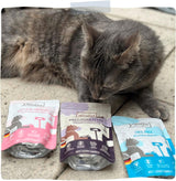 MjAMjAM - Premium natvoer voor katten - Delicious Mix Pack III Maaltijden voor uw kat, 6 stuks (6 x 200 g), graanvrij met extra vlees