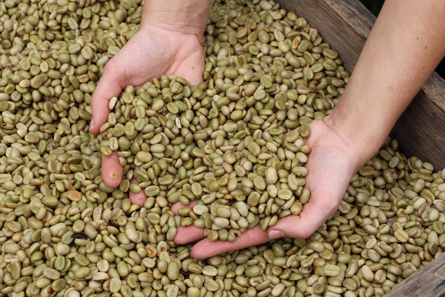 | Proefpakket koffiebonen 1 kg | Supreme 500g en Gourmet Arabica 500g | Lage zuurgraad | Fijne crème | De beste espresso voor volautomaten | Koffie proefset
