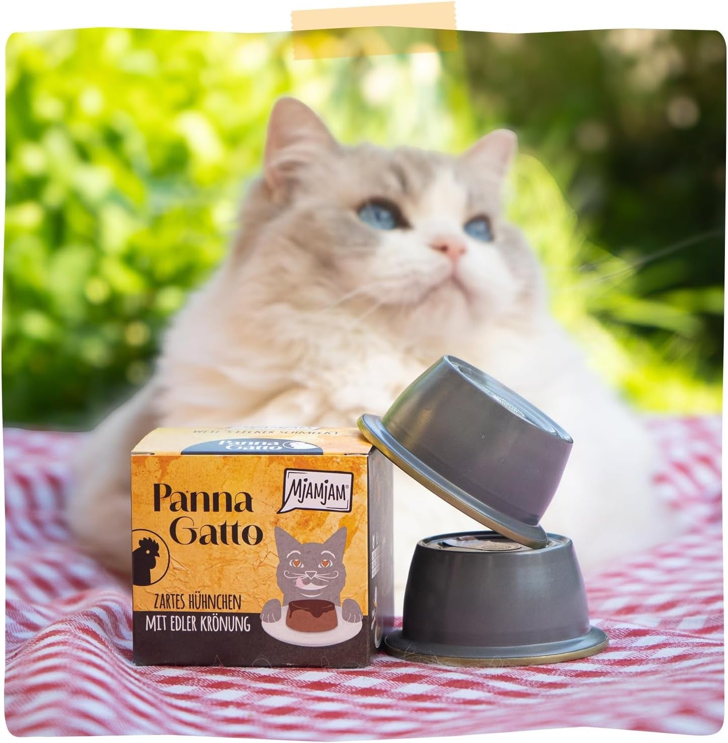 MjAMjAM - Premium natvoer voor katten - Panna Gatto - malse kip met een edele topping, verpakking van 12 (2x80g), graanvrij