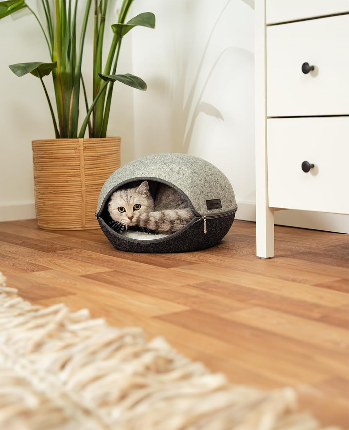 Dekens en meubels, Huisdieren, Grotten & Huizen, Katten, Kattenbedden, Katten - bedden, matrassen