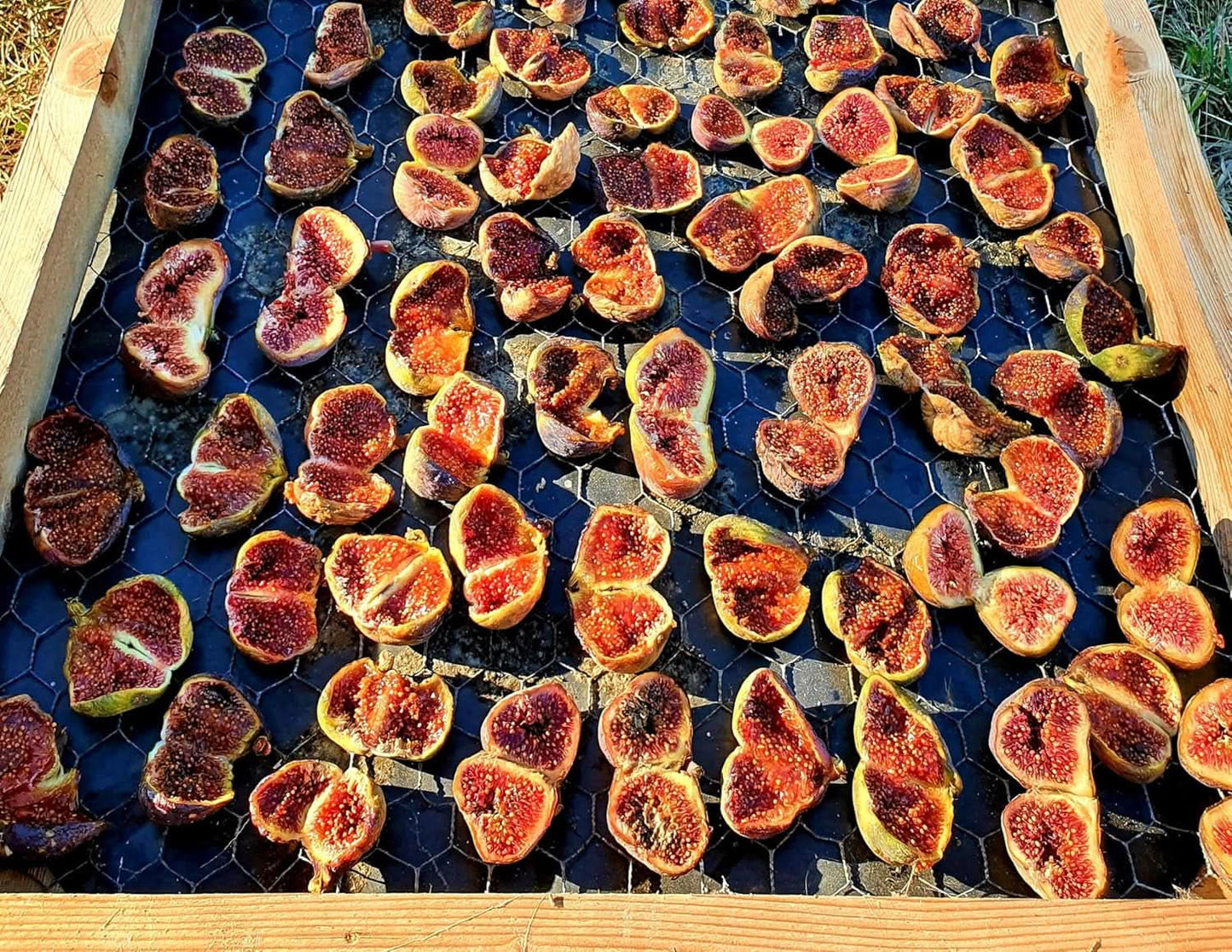 Mundo Feliz Gedroogde vijgen uit biologische landbouw, 2 x 500 gram Naty Shop gedehydrateerde producten