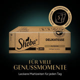 SHEBA Kattennatvoer - 72 zakjes x 85g - Gevogeltevariant in gelei - Kattennatvoer - 1 grootverpakking