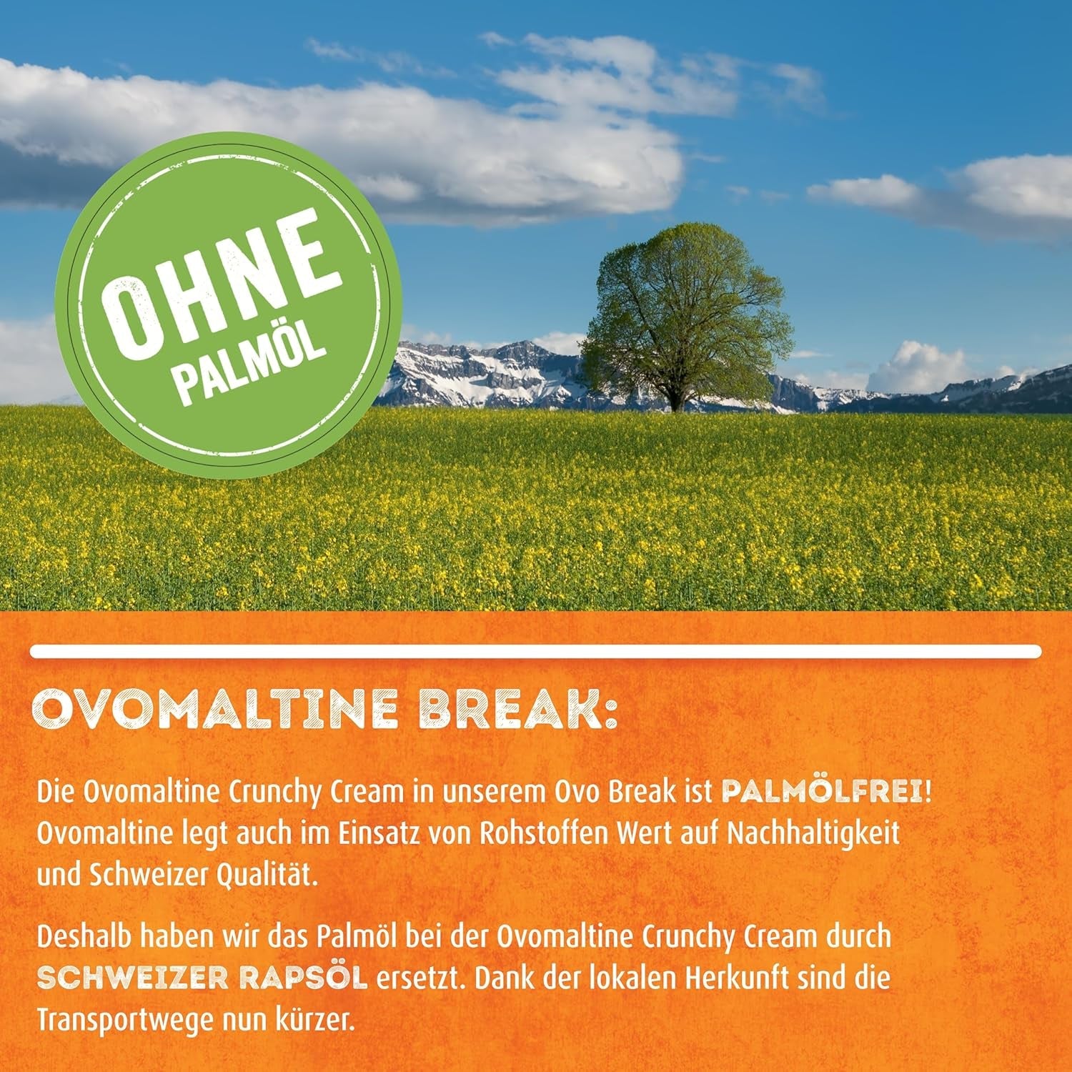 Ovomaltine OVO BREAK Wafel- en Chocoladereep - een knapperige snack met de onmiskenbare smaak van onze populaire Creme Crocante, uiteraard zonder palmolie (4 x 39 g)