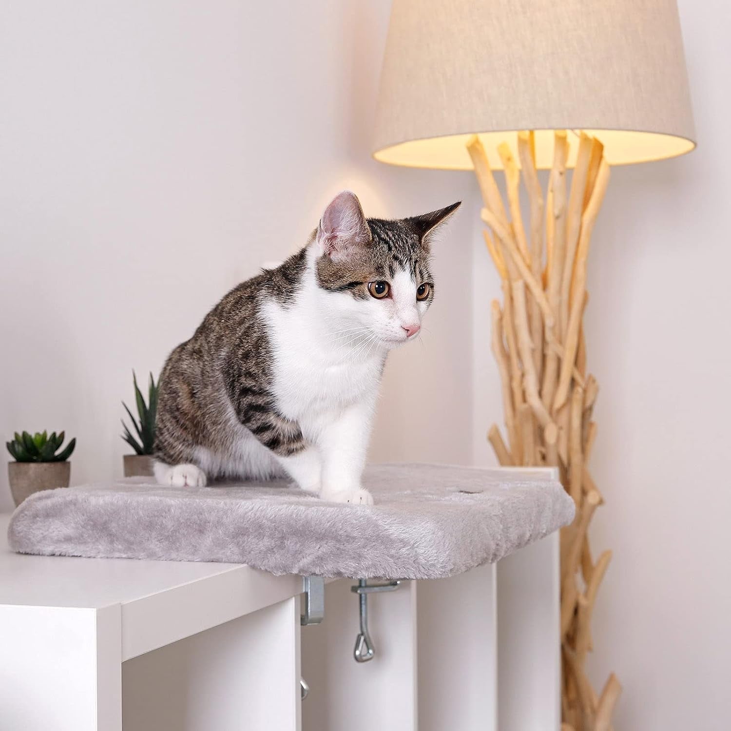 Dekens en meubelen, Raamstoelen, Huisdieren, Katten, Kattenbedden, Katten - bedden, matrassen