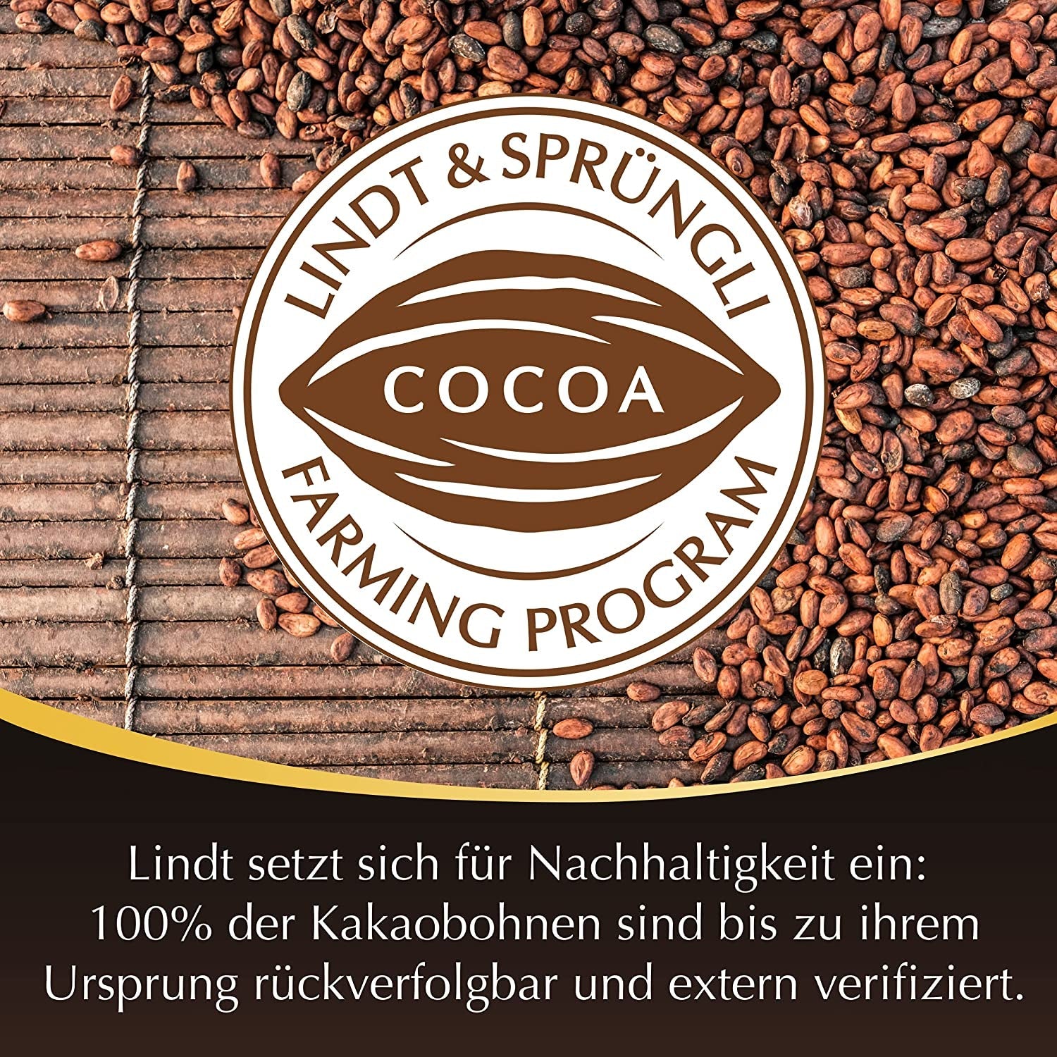 Lindor chocoladebolletjes 70% extra pure cacao | Zak van 137 g | Ongeveer. 10 bolletjes fijne pure chocolade met smelt-in-je-mond-vulling | Geschenk van chocolade | Chocolade geschenk