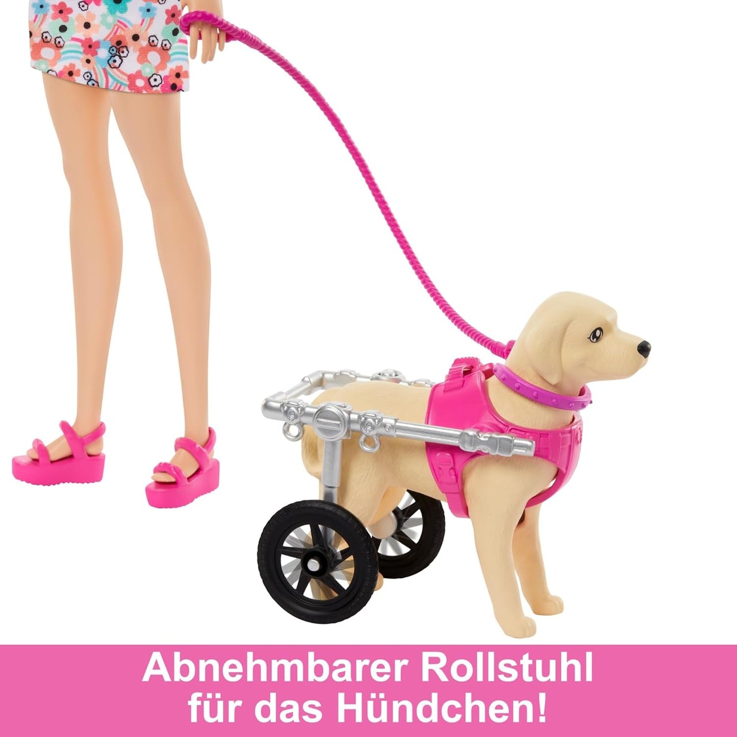 Barbie Dog Duo-pop en accessoires, inclusief puppy en grote hond met rolstoel, riem, voerbak, huisdierbed en botbeloningen, voor kinderen vanaf 3 jaar, HTK37