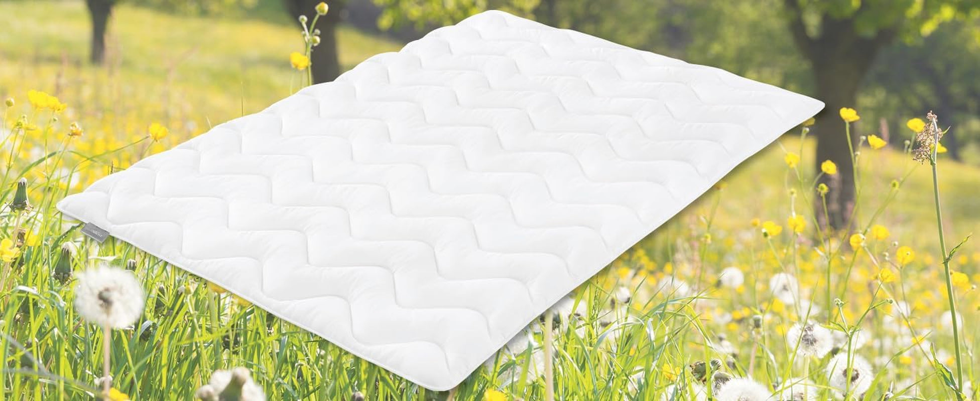 Traumnacht licht zomerdekbed 155X220 Cm, anti-allergisch dekbed, speciaal voor de zomer, met comfortabele zachte microvezelhoes, Oeko Tex gecertificeerd, geproduceerd volgens de Duitse kwaliteitsnorm Quilts en quilts Naty Shop Zomerdeken 155 X 220