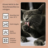 Bedden, dekens & meubels, huisdieren, katten, kattenbedden, Katten - bedden, matrassen
