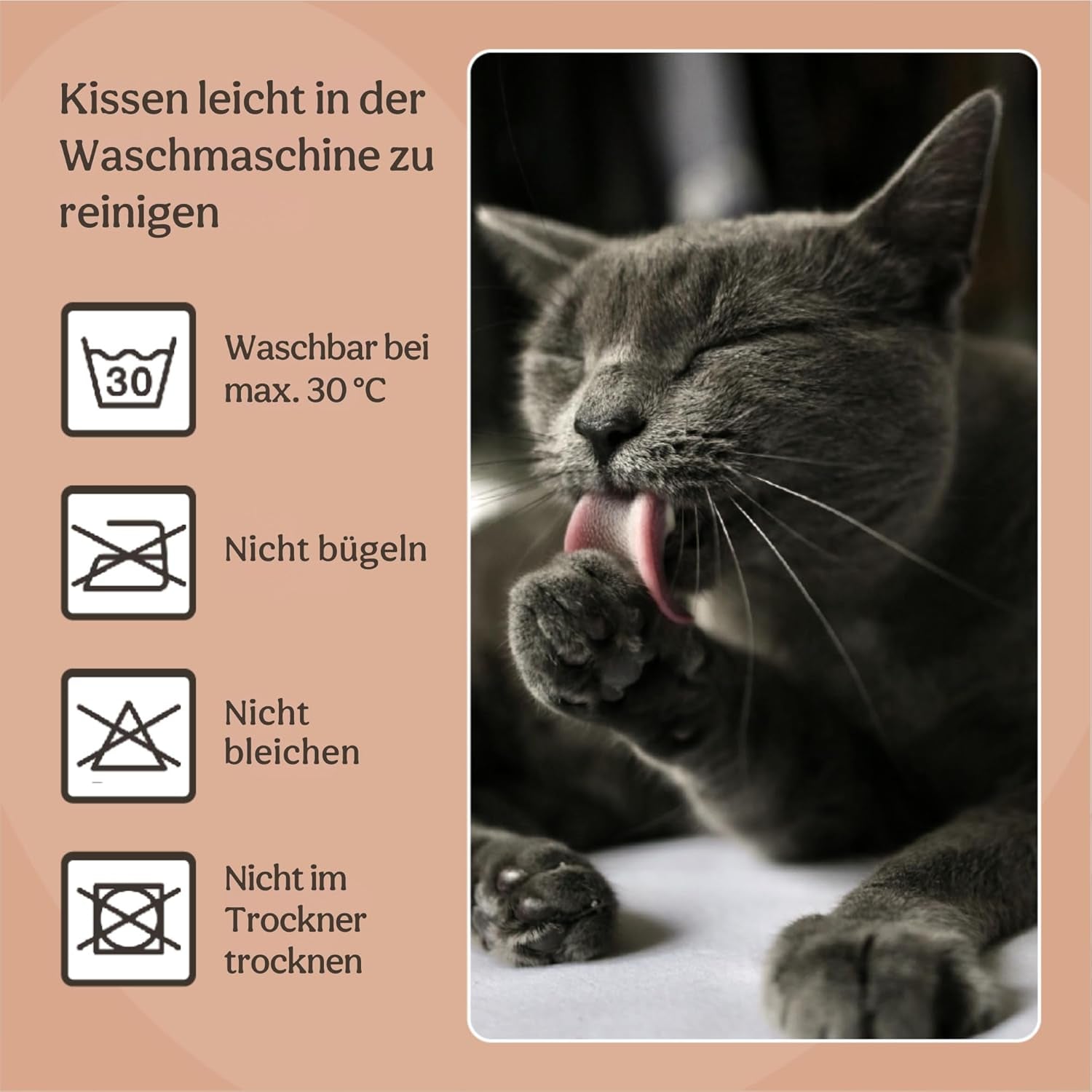 Bedden, dekens & meubels, huisdieren, katten, kattenbedden, Katten - bedden, matrassen