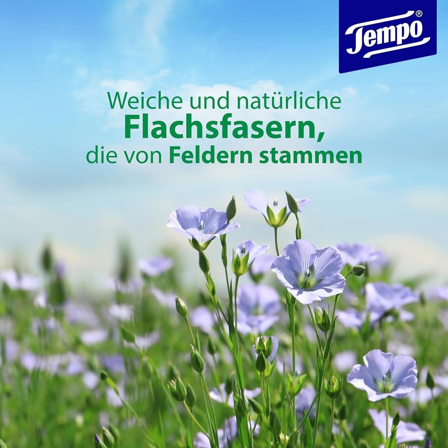 Tempo toiletdoekjes "Gentle & Caring" - Megapack - 16 pakjes van 42 doekjes - Duo Packs - met natuurlijke kamille - toiletpapier, dermatologisch getest en neutraal voor de huidph