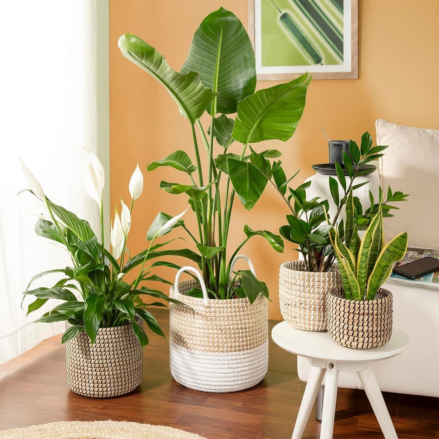Scheurich Seagrass 17, mandpot/zeegrasmandpot, kleur: Wit, diameter 17 cm, hoogte 16 cm, inhoud 3,5 l.