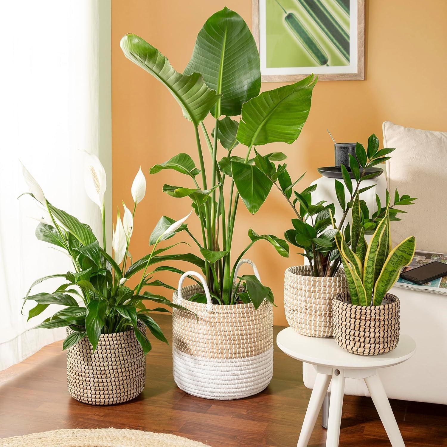 Scheurich Seagrass 17, mandpot/zeegrasmandpot, kleur: Wit, diameter 17 cm, hoogte 16 cm, inhoud 3,5 l.