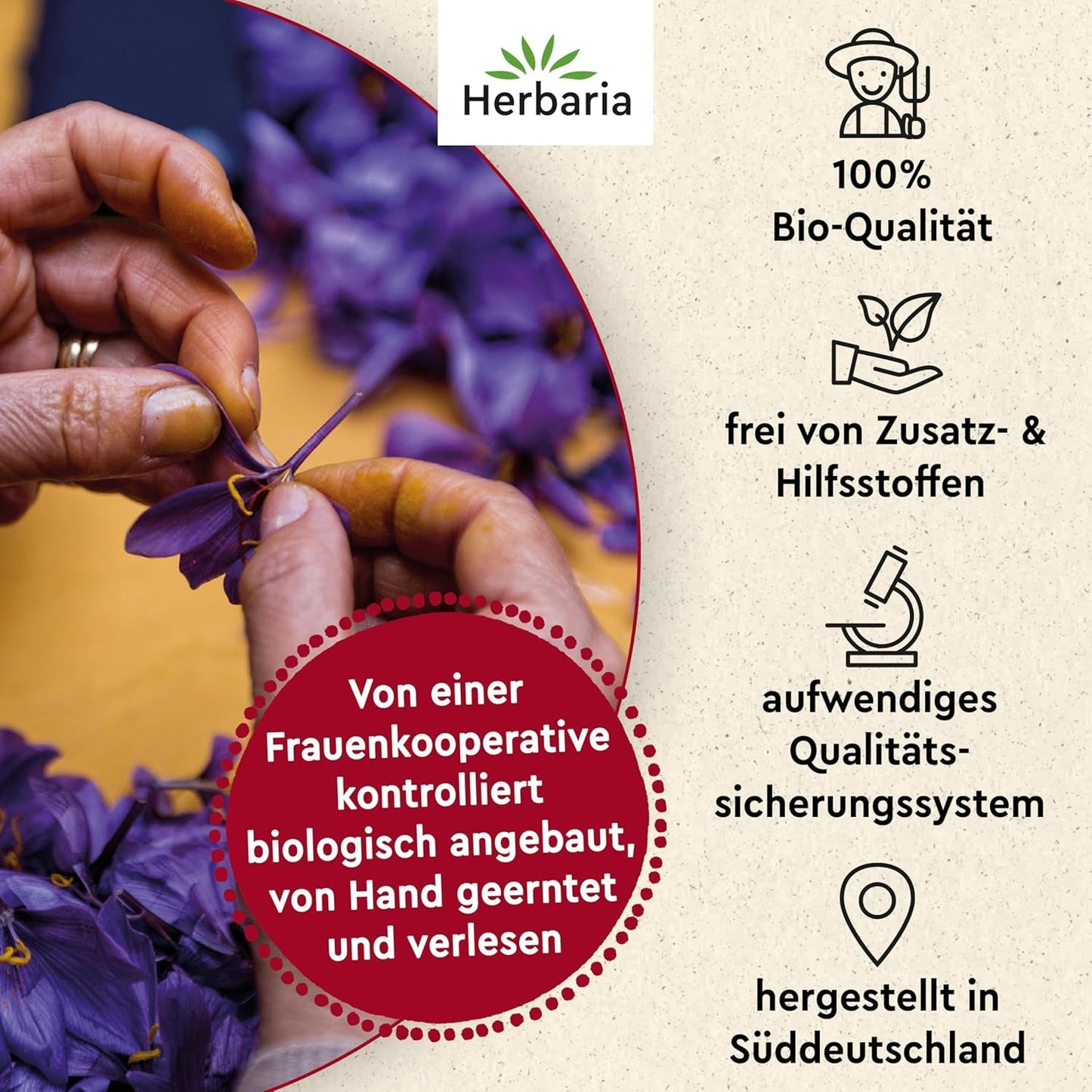 Herbaria Safran-Fäden bio 0,5g in Glas – Bio Saffron-Fäden aus dem bereicht Safran-Ort Taliouine in Marokko – Safranfäden in Premium Bio-Qualität – Saffron Premium - Safran première categorie