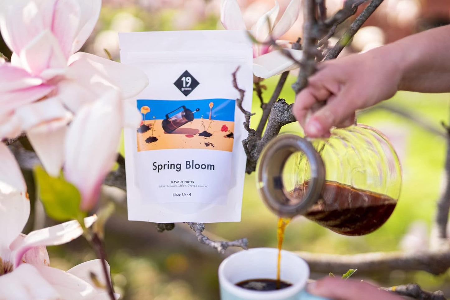Lentebloeifilter | 250 g volle granen | eerlijk en duurzaam | vers gebakken | koffiebonen 100% Arabica | speciale koffie | 19 gram Cafe Roastery…